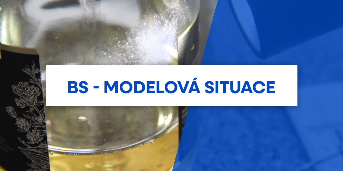 Modelová situace – Bezpečnostní služby Modelová situace – Bezpečnostní služby