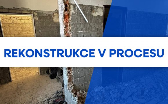 Rekonstrukce v procesu