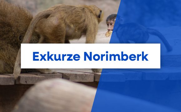 Exkurze do norimberské ZOO