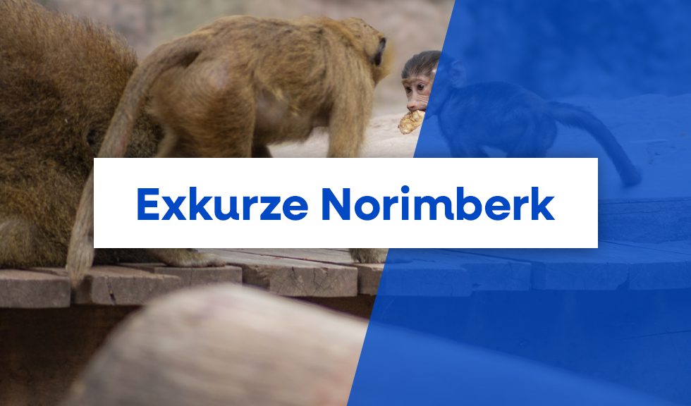 Exkurze do norimberské ZOO